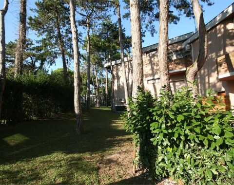 Appartamento ristrutturato immerso nel verde – Lignano Pineta